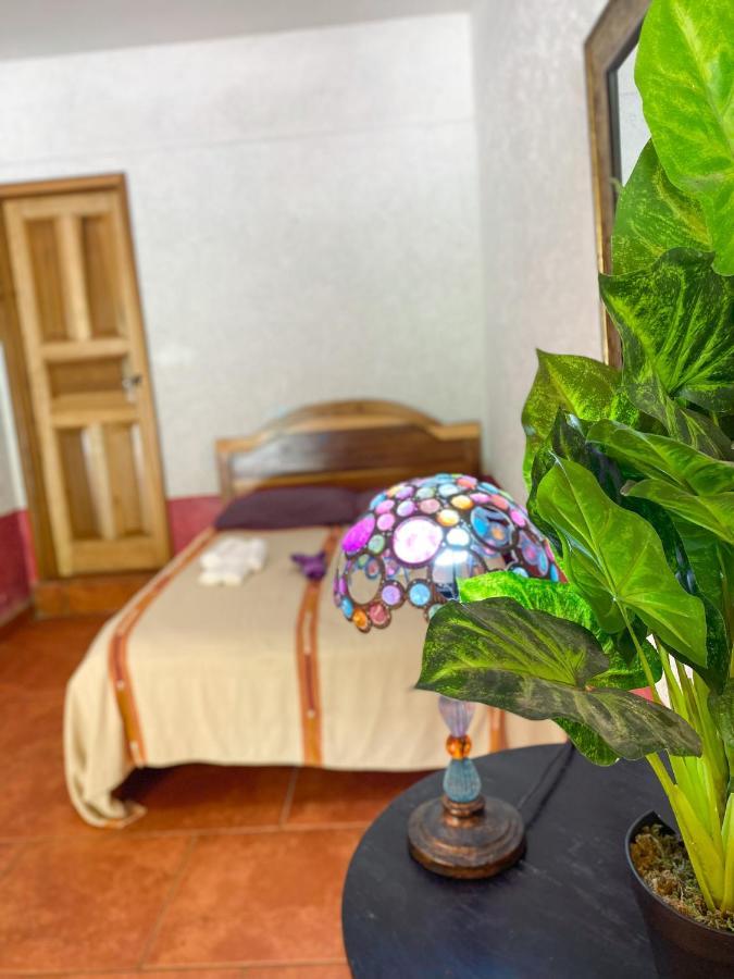 Hotel El Mirador De Tansu Lanquín Zewnętrze zdjęcie